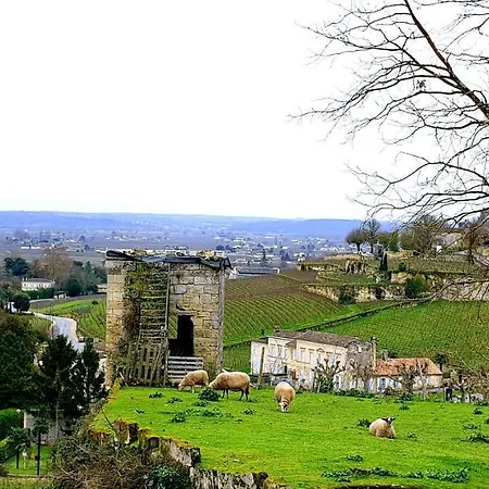 La Maison D Artiste * Saint-Émilion